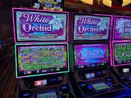 Filipino sports fan checking basketball betting options on 4025 mobile